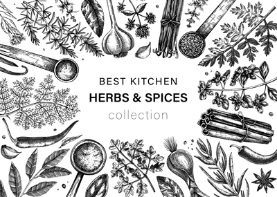 Hand drawn herbs and spices vector frame design. Hand-sketched food illustration. Vintage aromatic plants hand-drawing. Kitchen herbs and spice frame template in sketched style.